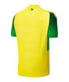 Macron FC Nantes Trikot Home 2026/2027 Gelb - gelb