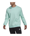 adidas Entrada 22 Sweatshirt Türkis - tuerkis