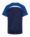 Hummel Trikot Kids Blau F7317 - blau