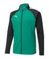 PUMA teamLIGA Trainingsjacke Kids Grün Schwarz F05