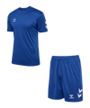Hummel hmlLOGO Training Set Blau F7045