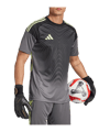 adidas Tiro 25 Competition Torwarttrikot Grau - grau