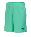 PUMA Schweiz Torwartshort EM 2020 Grün F04 - gruen