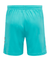 Hummel Core GK Torwarttrikotset Kids Blau F7905 - blau
