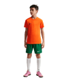 Nike Park VIII Trikot Kids Orange F819