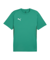 PUMA teamGOAL Trikot Grün F05