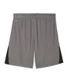 PUMA teamLIGA26 Short Grau F13 - grau
