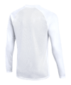 Nike Park VIII Trikot langarm Weiß F100