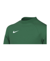 Nike Park VIII Trikot langarm Kids Grün F302 - gruen