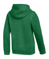 Nike Park 26 Hoody Kids Grün F302