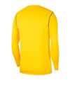 Nike Park 20 Training Sweatshirt Gelb F719 - gelb
