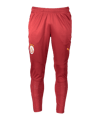 PUMA Galatasaray Istanbul Trainingshose Rot F01 - rot