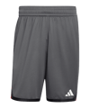 adidas DBB Deutschland Training Short Grau - grau