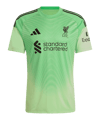 adidas FC Liverpool Torwarttrikot 2025/2026 Grün - gruen