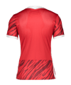Nike Dry NE GX2 T-Shirt Rot F657 - rot