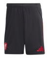 adidas FC Liverpool Short Away 2025/2026 Schwarz - schwarz