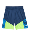 PUMA individualCUP Short Blau F54