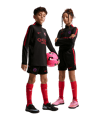 Nike Paris Saint-Germain Strike Short Kids Schwarz F010 - schwarz