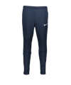 Nike Park 20 Pants Hose lang Kids Blau F451 - blau