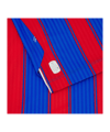 Macron Crystal Palace Trikot 2025/2026 Blau - blau