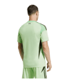 adidas FC Liverpool Torwarttrikot 2025/2026 Grün - gruen