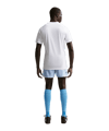Nike Park VIII Trikot Weiß F100