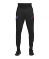 Nike Paris Saint-Germain Trainingshose Kids Schwarz F010