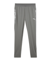 PUMA teamCUP Trainingshose Grau F13 - grau