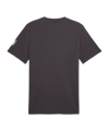 PUMA ÖFB Österreich FtblCulture T-Shirt Kids Grau F25 - grau