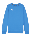 PUMA teamGOAL Casuals Sweatshirt Kids Blau F02 - blau