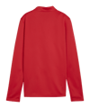 PUMA teamGOAL Training 1/4 Zip Sweatshirt Damen  Rot F01 - rot