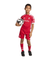 adidas FC Liverpool Trikot Set Home 2025/2026 Kids Rot - rot