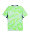 PUMA SFV Schweiz Trikot Away WM 2026 Grün F02 - gruen