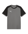 PUMA teamLIGA26 Matchday Trikot Grau F13 - grau
