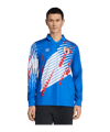adidas JFA Japan Bringback 1993 Trikot Langarm Home Blau - blau