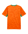 PUMA FIF Elfenbeinküste Trikot Home WM 2026 Orange F01 - orange