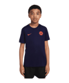 Nike Erling Haaland Academy Trainingsshirt Kids Blau F498