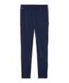 PUMA IndividualLiga Trainingshose Blau F01 - blau