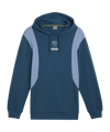 PUMA KING Top Hoody Grün F05
