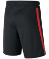 Nike Kroatien Short Home EM Kids 2020 F010 - schwarz