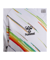 Hummel Match Triumph Trikot Weiß F9639 - weiss
