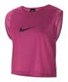 Nike Park 20 Markierungshemdchen Pink F616