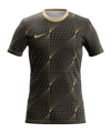 Nike Park Energy Trikot Schwarz F016