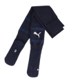PUMA teamFINAL Strumpfstutzen Blau Weiss F06