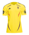 adidas Berlin Underdogs Trikot Home 2024 Gelb - gelb
