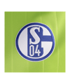 adidas FC Schalke 04 Trikot 3rd 2026/2027 Grün - gruen