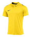 Nike Academy Pro 24 Poloshirt Gelb F719