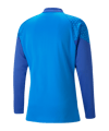 PUMA teamCUP HalfZip Sweatshirt Blau F02 - blau