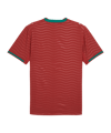 PUMA FPF Portugal Authentic Trikot Home WM 2026 Rot F01 - rot