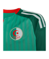 adidas FAF Algerien Trikot Away WM 2026 Kids Grün - gruen